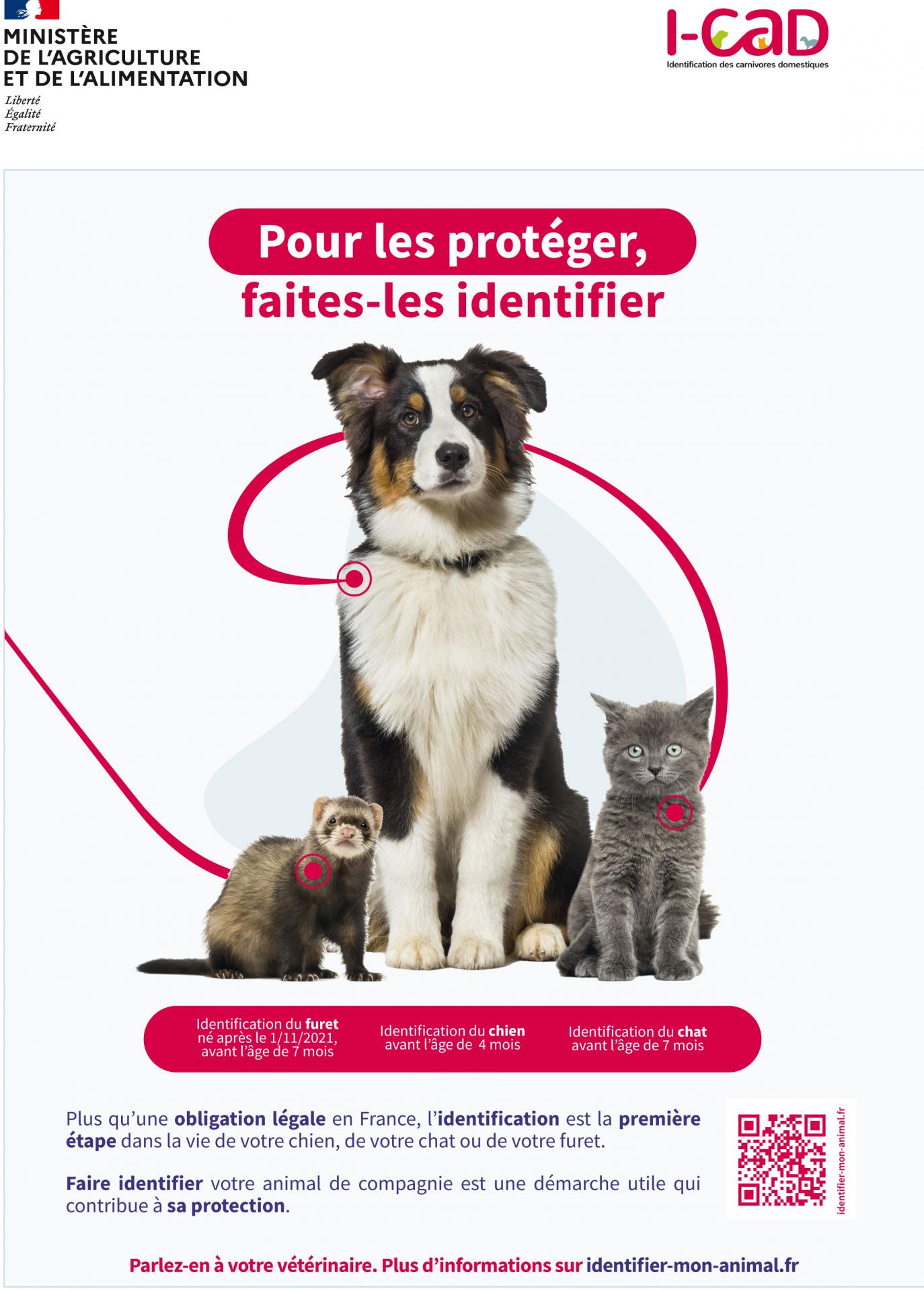 2021 affiche identification chien chat furet